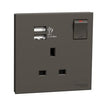 مقبس مفتاح AvatarOn C من Schneider Electric E8715USB، 1 عصابة، 13 أمبير 2.1 أمبير منفذين USB